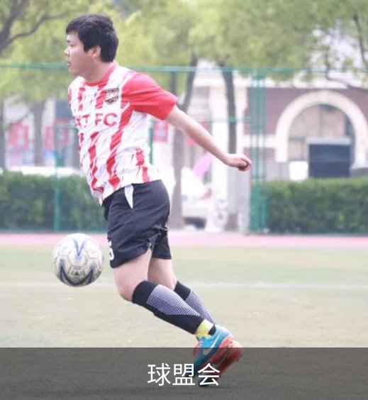 关于球盟会